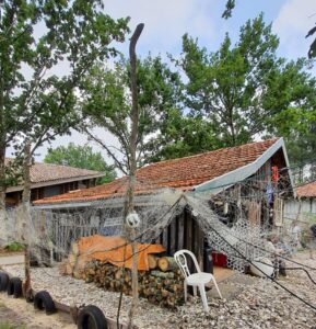 cabane ostreicola Sanguinet